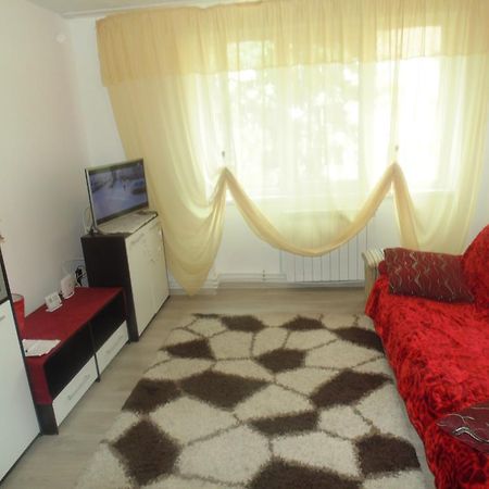 סוסאבה Lary Apartament מראה חיצוני תמונה