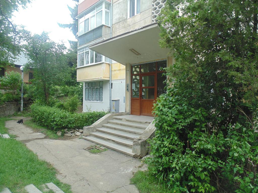 סוסאבה Lary Apartament חדר תמונה